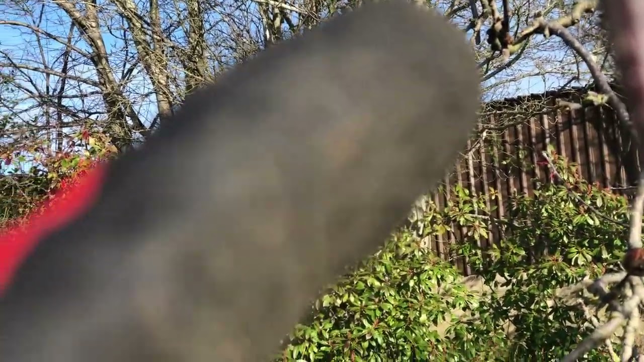 Reducing and pruning trees.