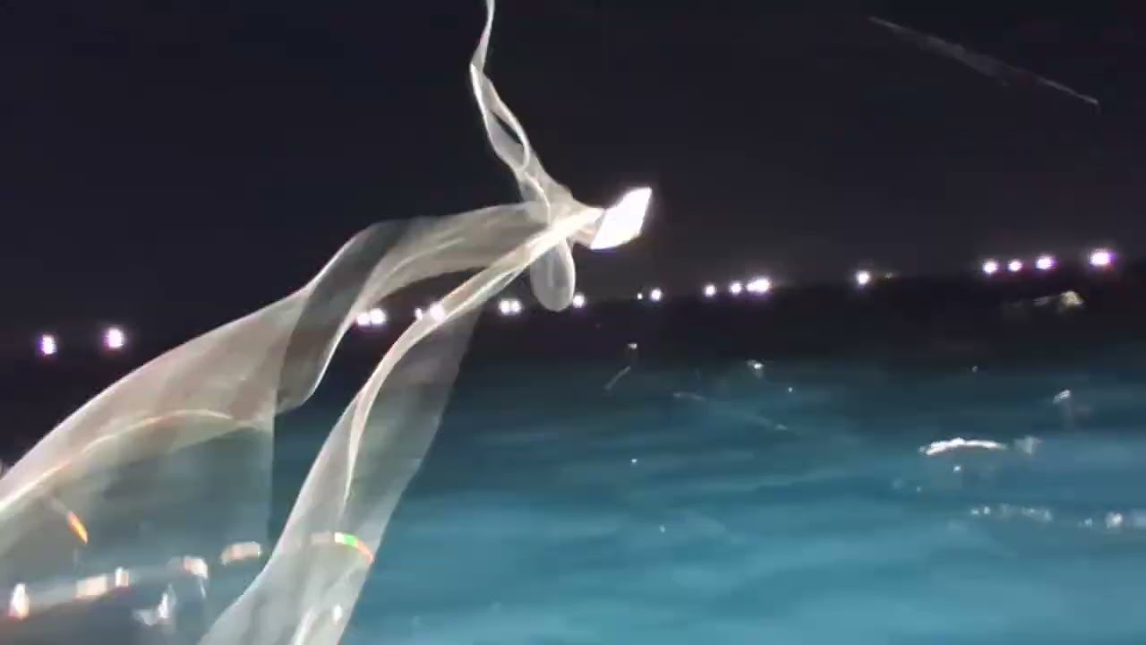 갈치낚시 옥선장 일상 11.14