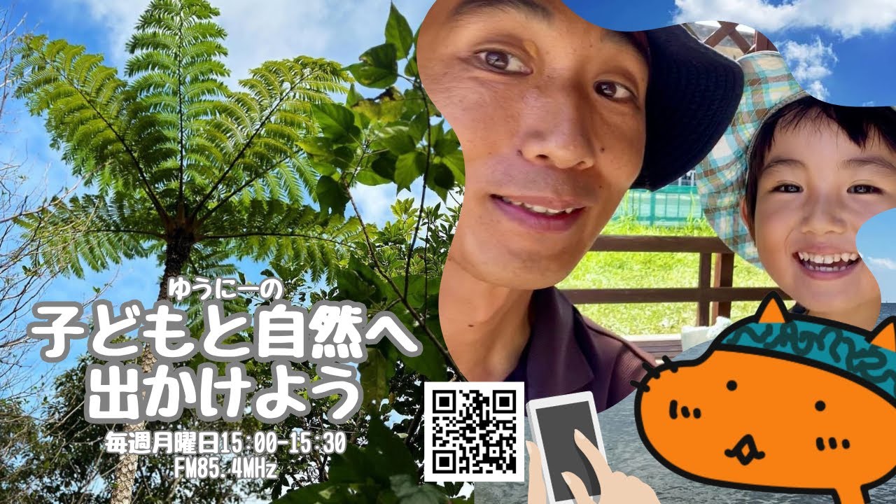 実は猛毒ミフクラギ、沖縄の身近な有毒植物（ゆうにーの子どもと自然へ出かけよう）2024/09/09