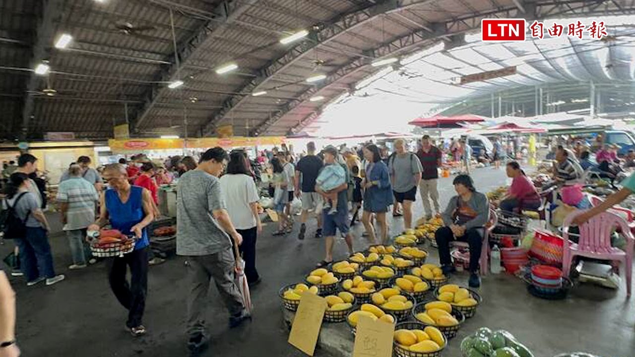 丹娜絲颱風》台南玉井芒果農趕採收 青果市場湧採買人潮