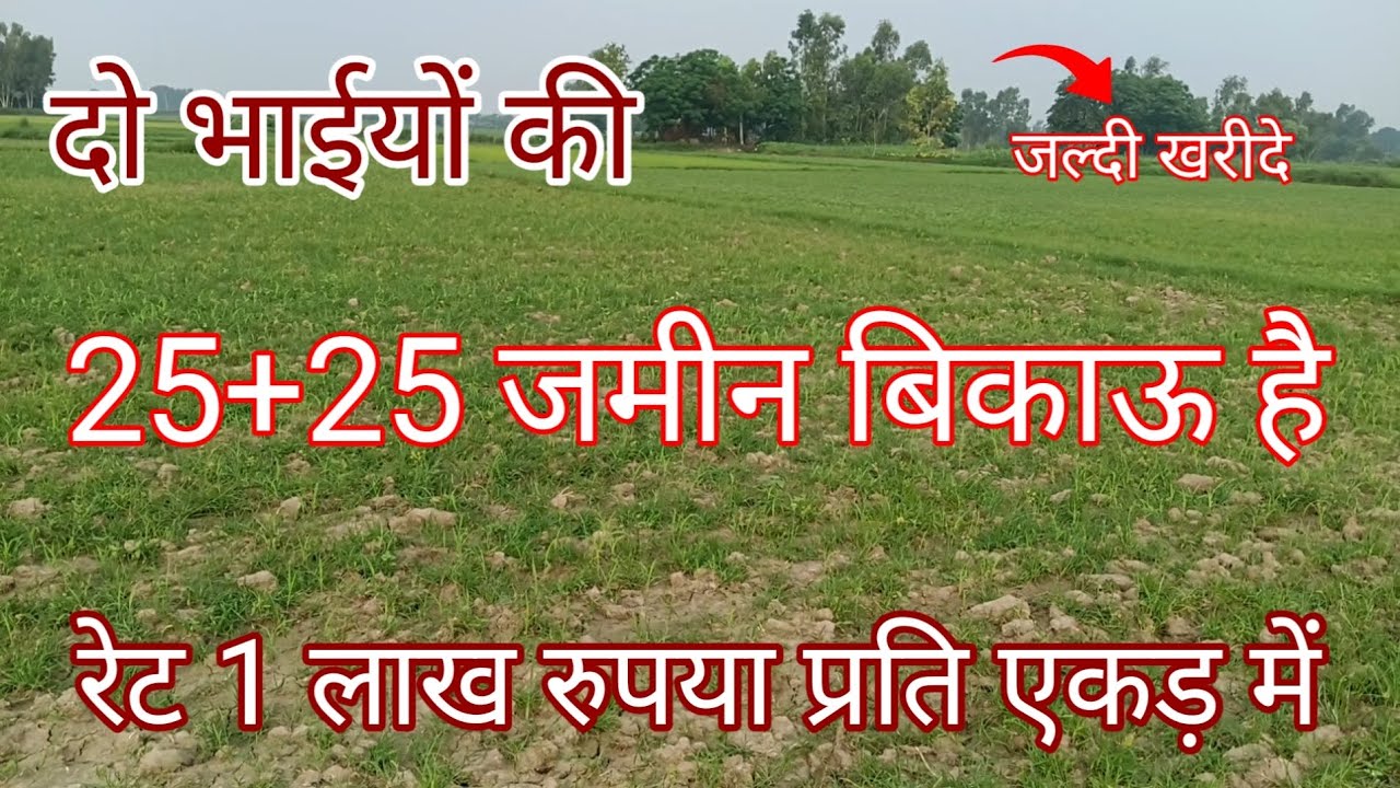 रोड के किनारे 50 एकड़ रेट 1 लाख रुपए प्रति एकड़ में khet khajana @realbikaujameen1