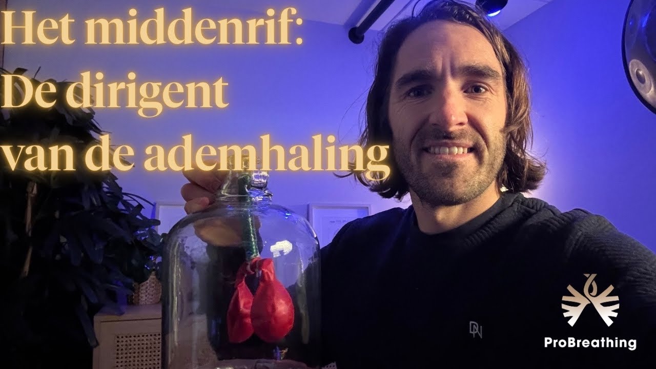 Het middenrif: de vergeten dirigent van je ademhaling en ontspanning