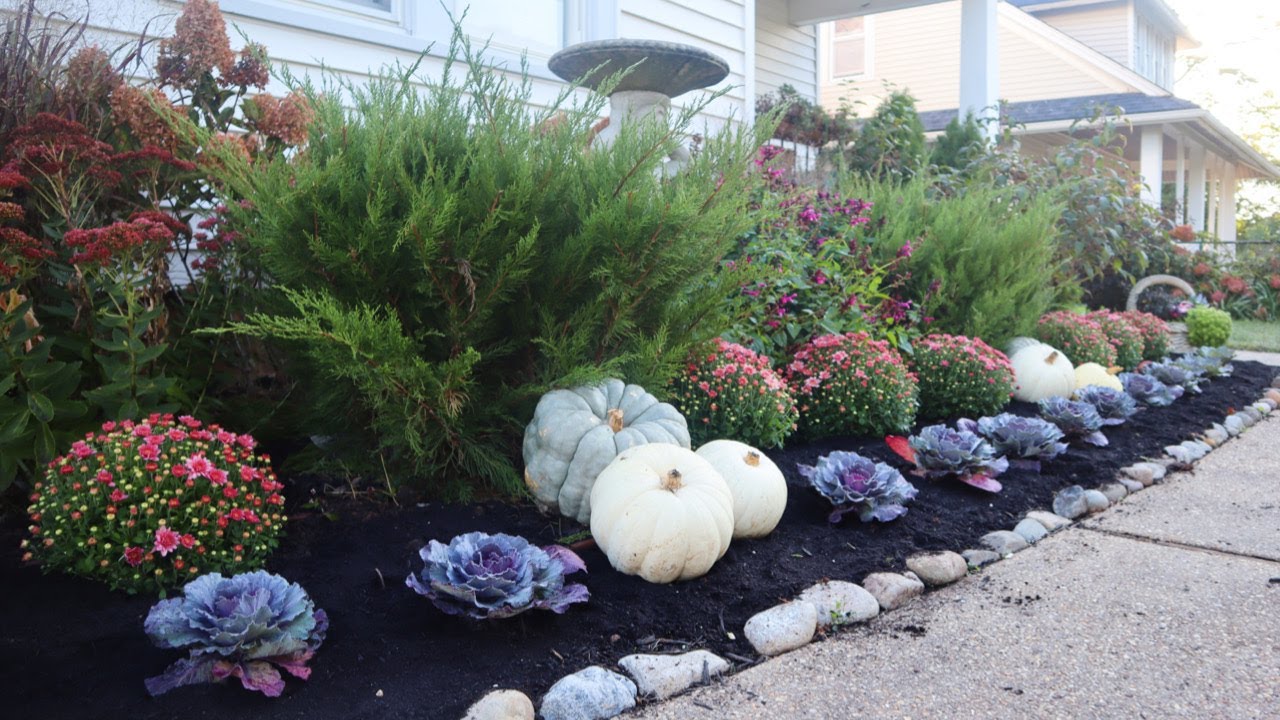 Planting Fall annuals 2020 | GARDENADDICTZ