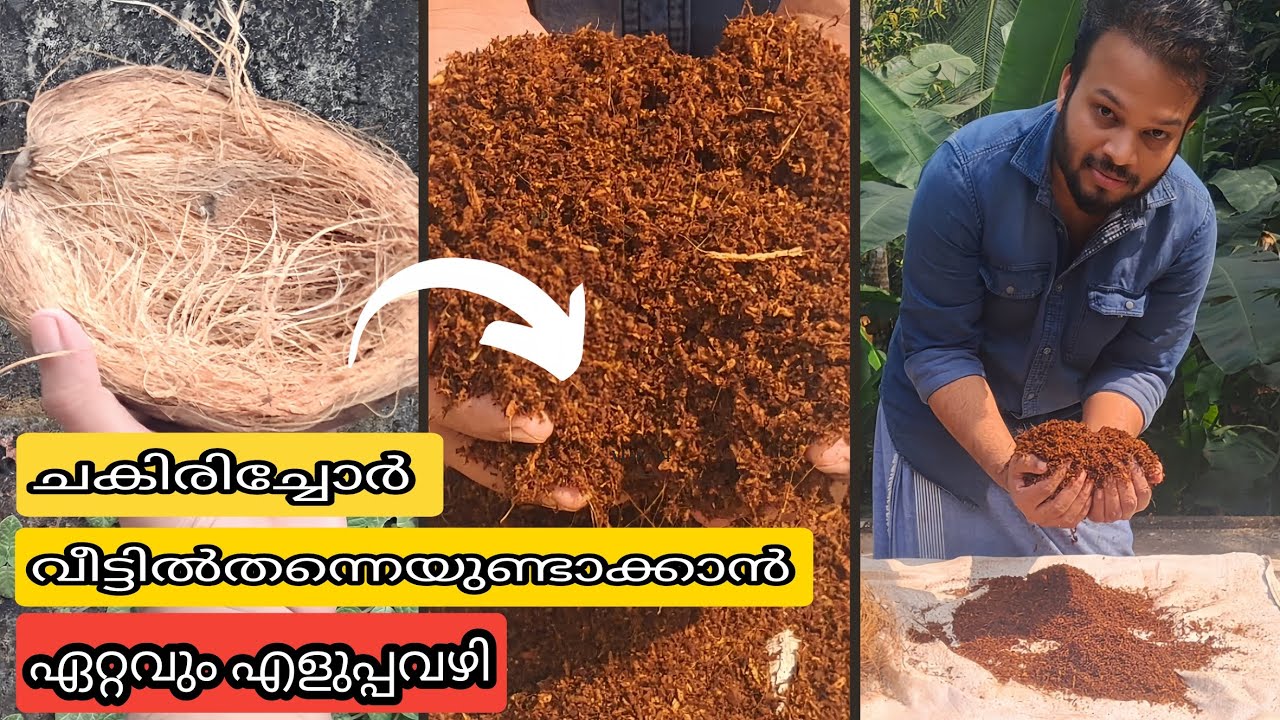 ചകിരി ചോറ് നിർമ്മാണം ഇത്ര സിമ്പിളായിരുന്നോ? 😲🔥 | How to make Cocopeat at home