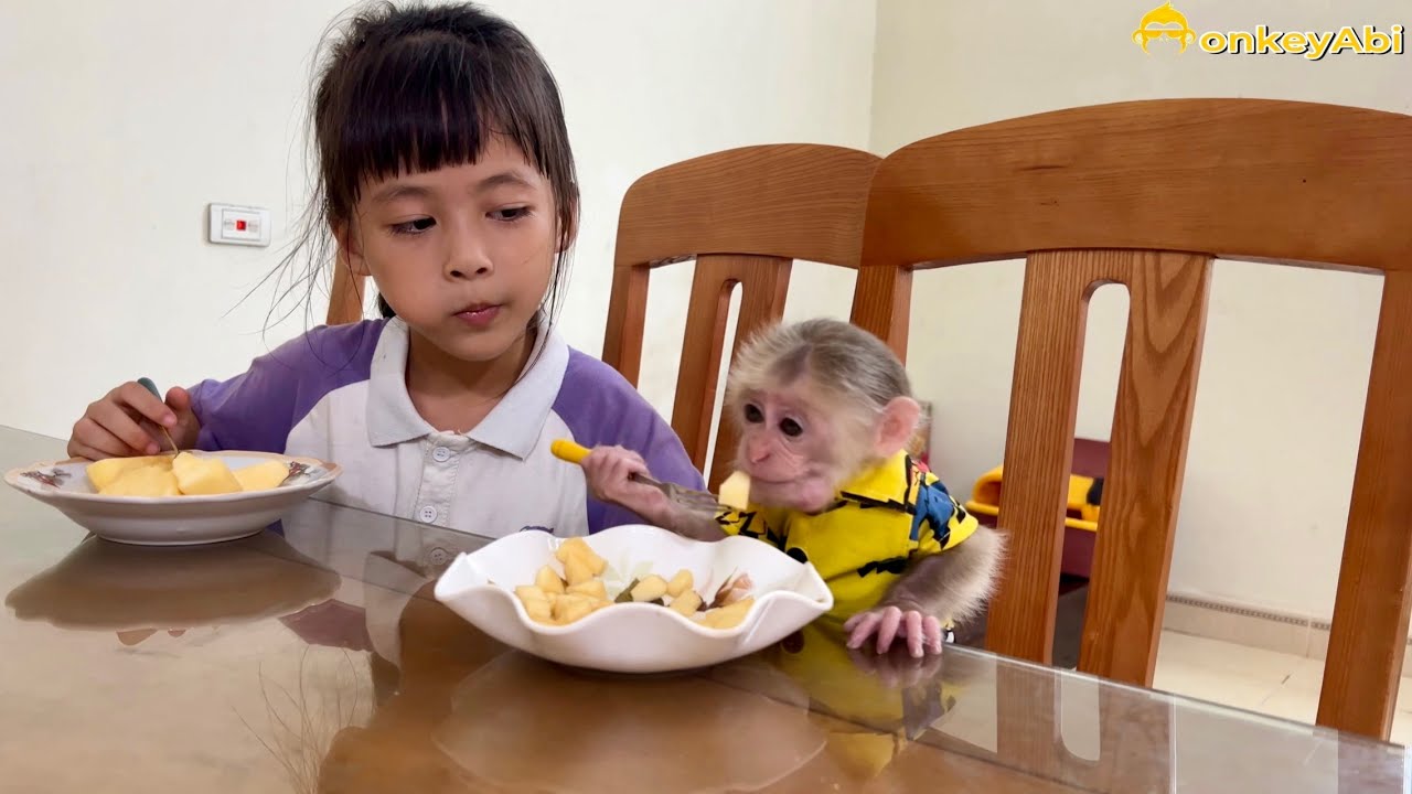 Monkey Abi loves to play with her sister
