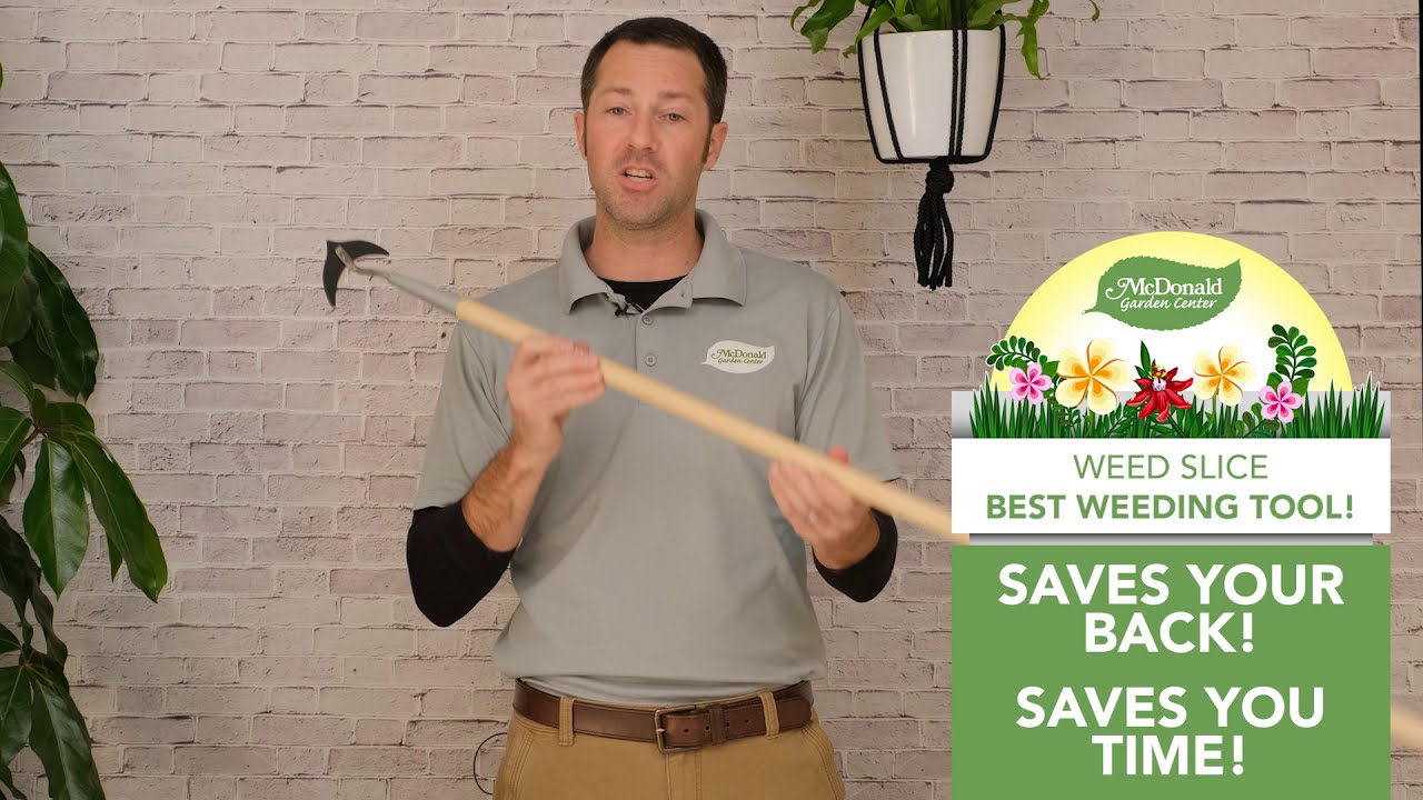 Weed Slice, The Very Best Weeding Tool