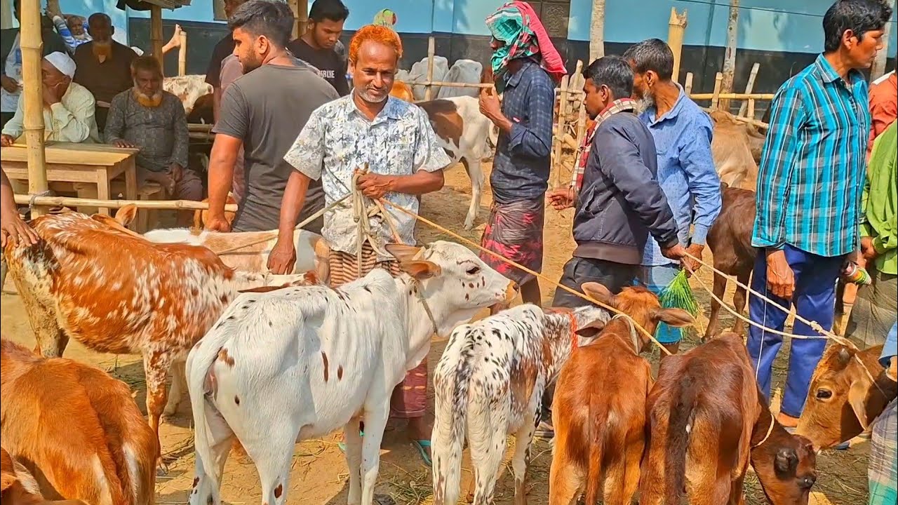 @আজ ২৪ ফেব্রুয়ারী