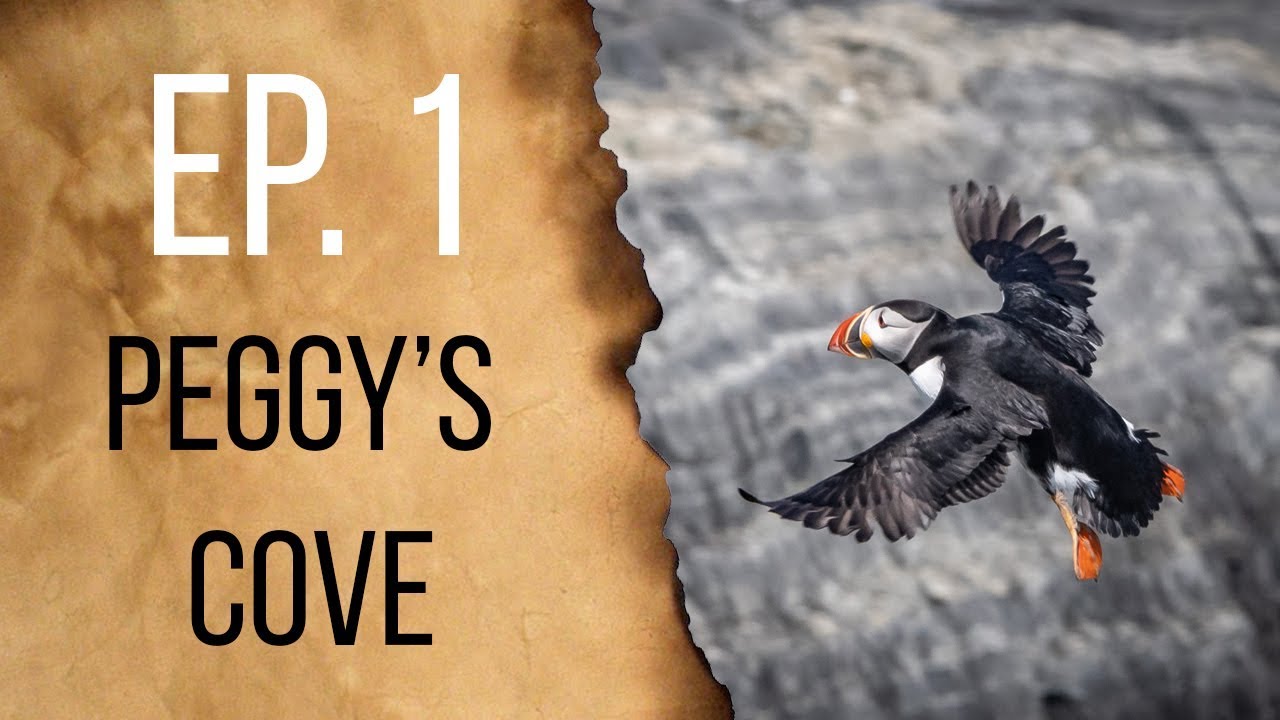 PEGGY'S COVE HAS PUFFIN'S?! | NOVA SCOTIA LIKE YOU'VE NEVER SEEN BEFORE