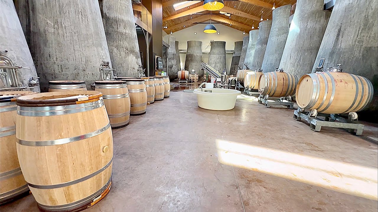 Château Beauregard Wine Tour Review @ Pomerol Saint-Émilion Bordeaux France 🇫🇷