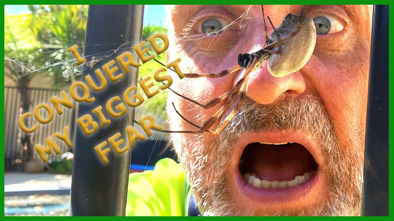I Conquered My Biggest Fear. SPIDERS!