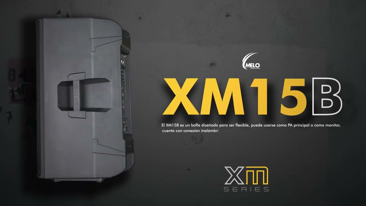 XM SERIES - XM15B (Bafle de 15