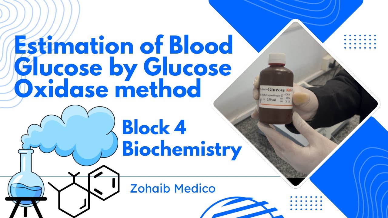 Estimation of Blood glucose by Glucose Oxidase method | Biochemistry | OSPE video | Block 4 