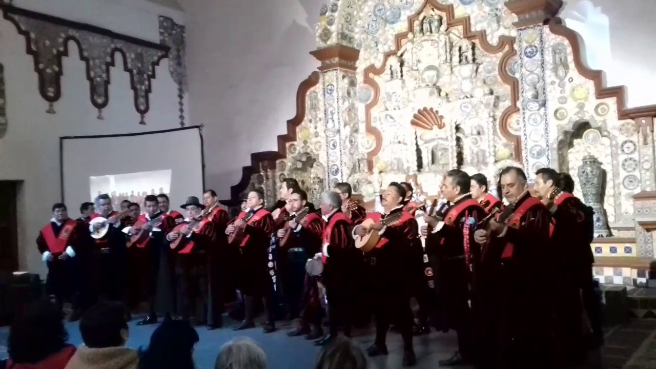 La Hiedra, Antiguos Tunos de Derecho