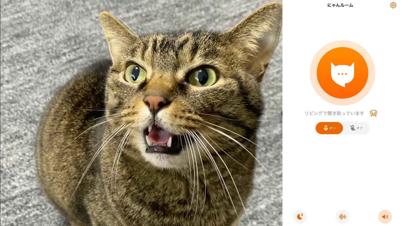 凶暴猫におやつを見せて猫語翻訳アプリを使ったら正直すぎたw