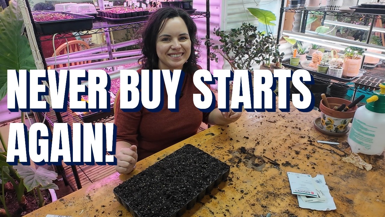 How to Start Peppers and Tomatoes from Seed, Planting 160 Cells, From Start to Finish!