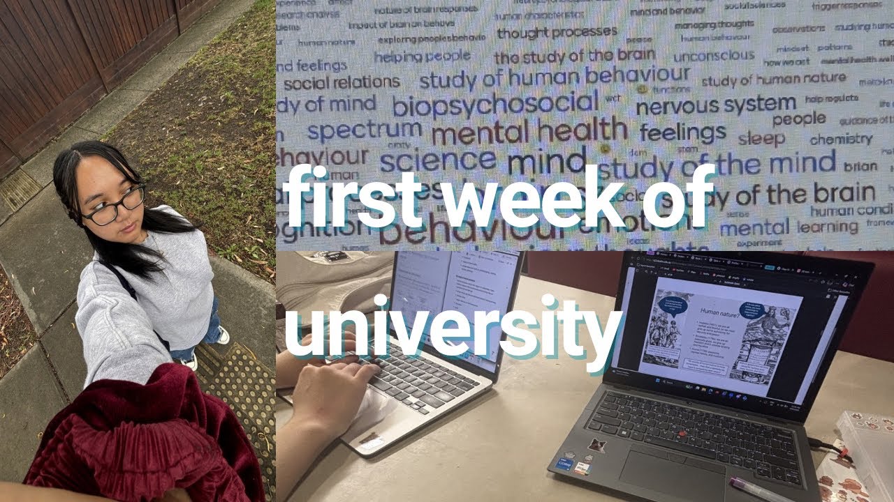 the start of university life ૮ ․ ․ ྀིა