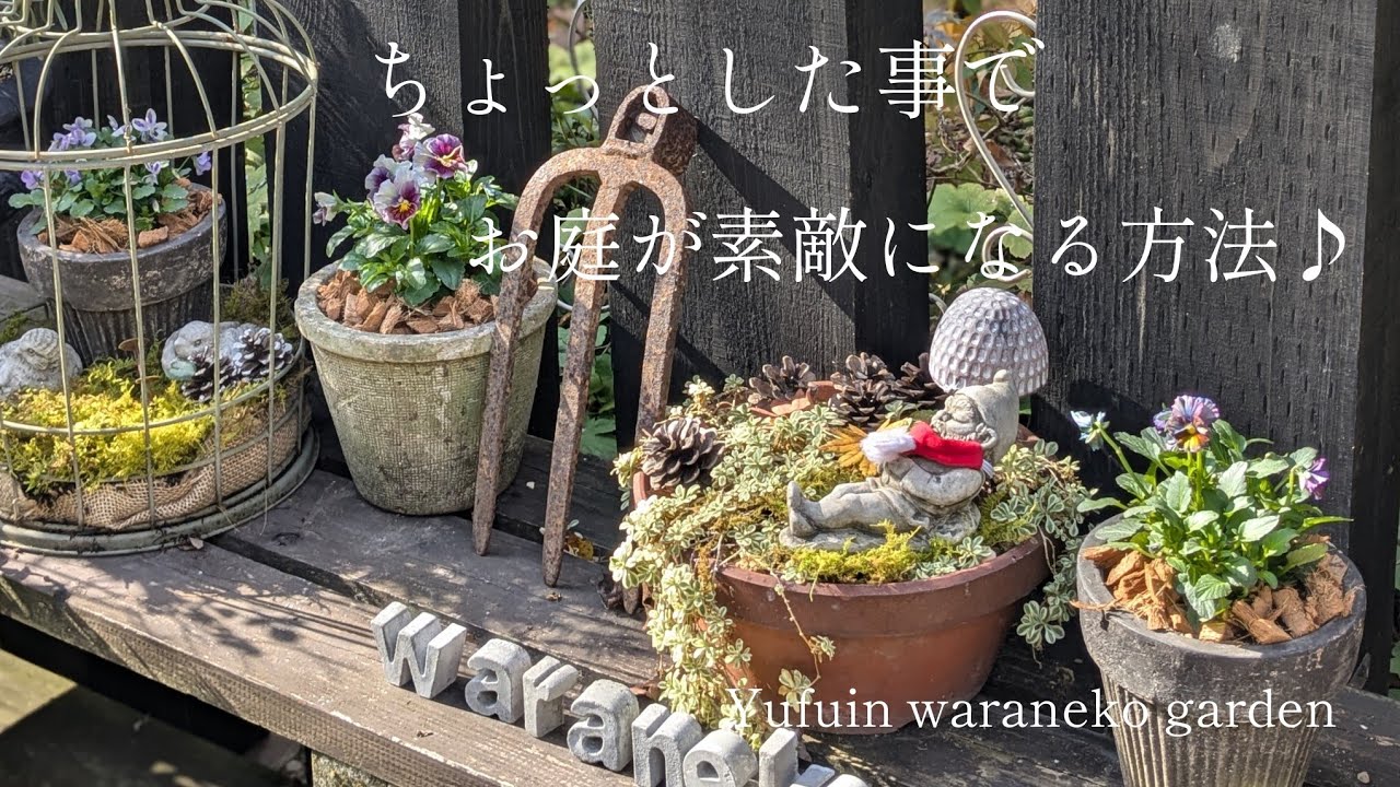 【2024.11月下旬〜12月】ちょっとした事でお庭が素敵になる方法♪