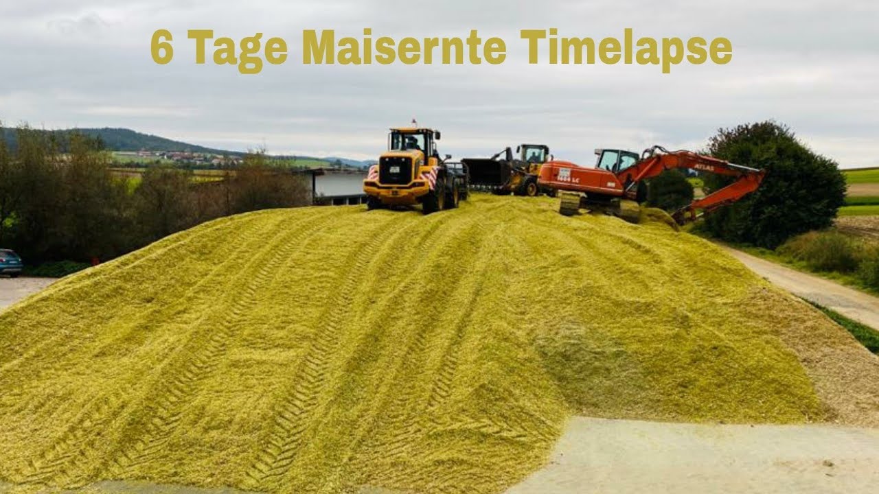 Maisernte 2020! 6 Tage Timelapse