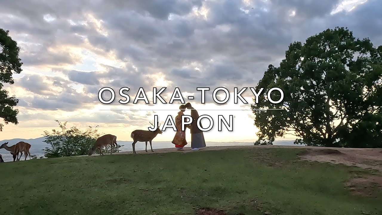 Japon Osaka Tokyo