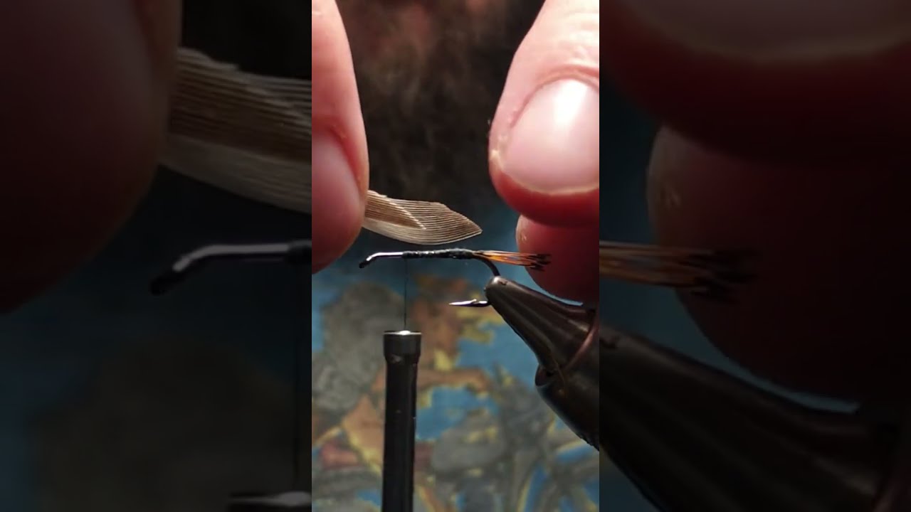 Fly Tying with Nimby! Patterns, Techniques and Materials to catch more Trout, Bentz Coachman in Gray