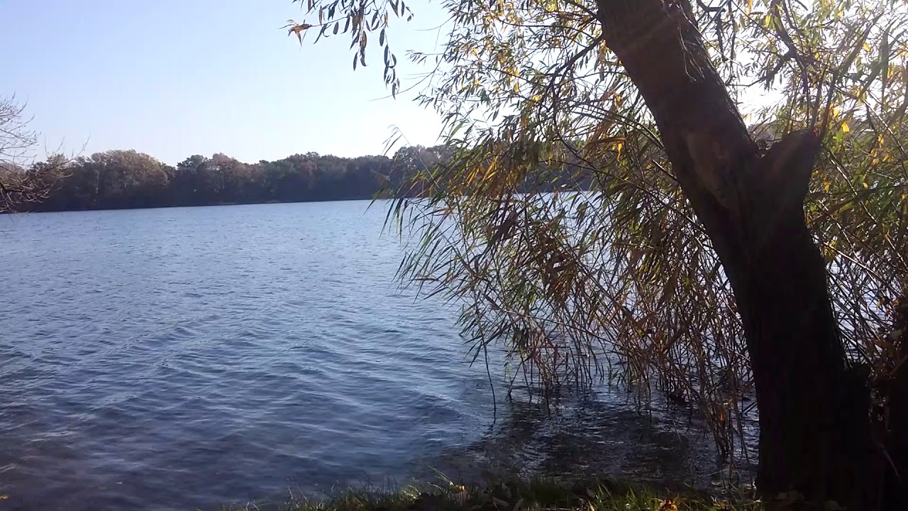 Lusowo Jezioro Jesień 20171016 134130