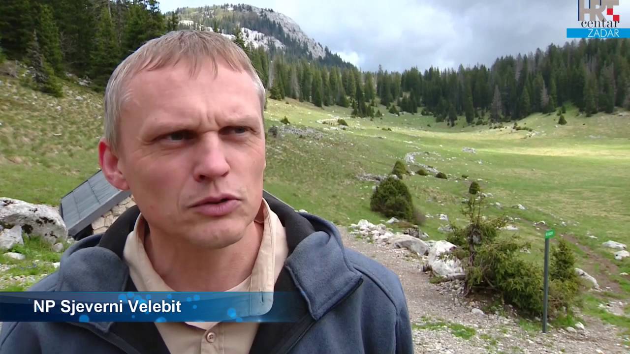 Povratak na Velebit