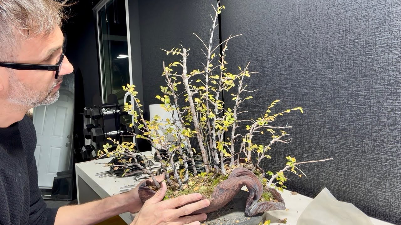 SE9 Extra1 How to creat a bonsai masterpiece