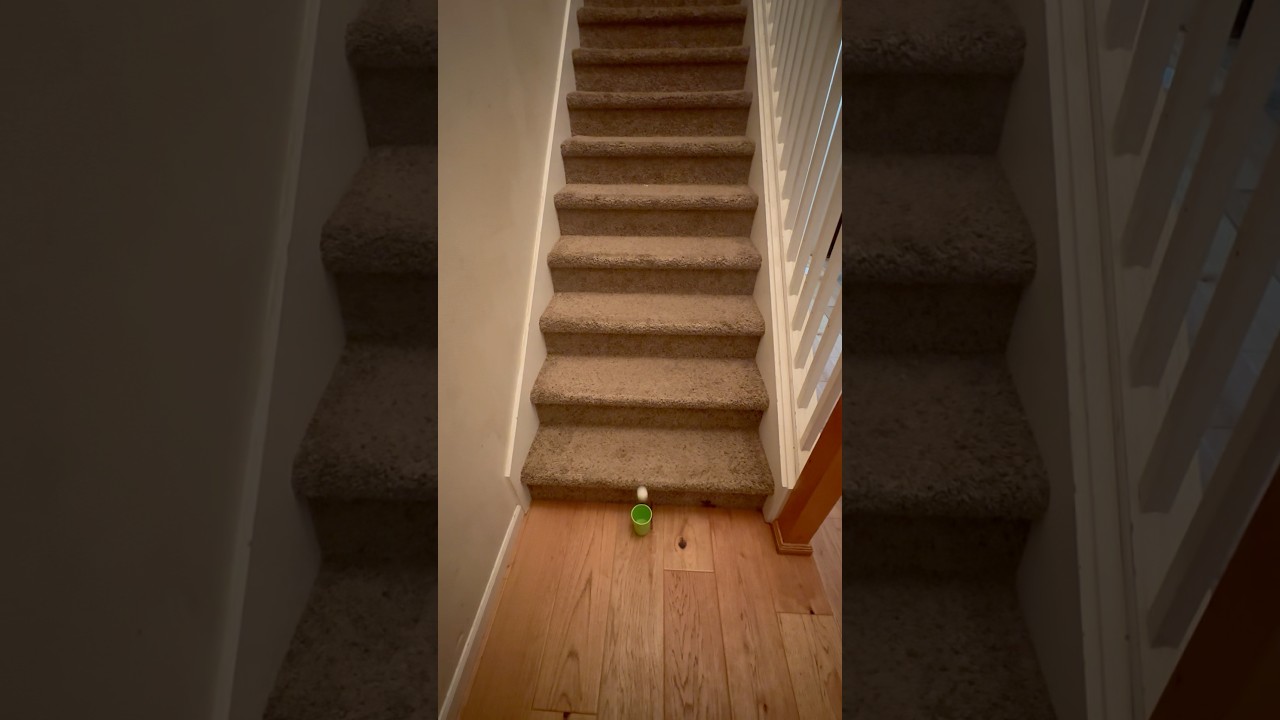 Down The Stairs Ping Pong Shot!!! 