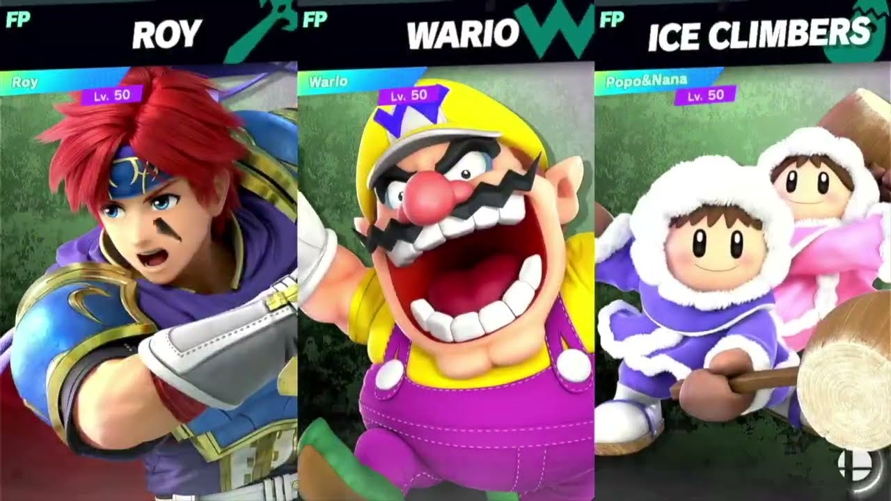 Super Smash Bros Ultimate Amiibo Fights 11pm Finals Roy vs Wario vs Ice Climbers