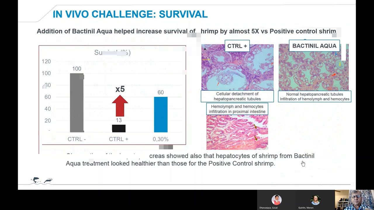 Organic Acids : A promising tool to control vibriosis in shrimp farming
