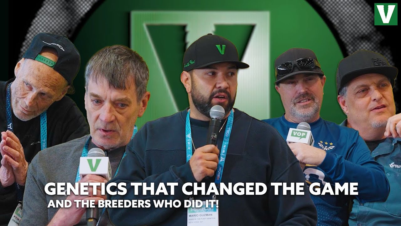VOP: Meet the legendary Cannabis breeders that changed the game!