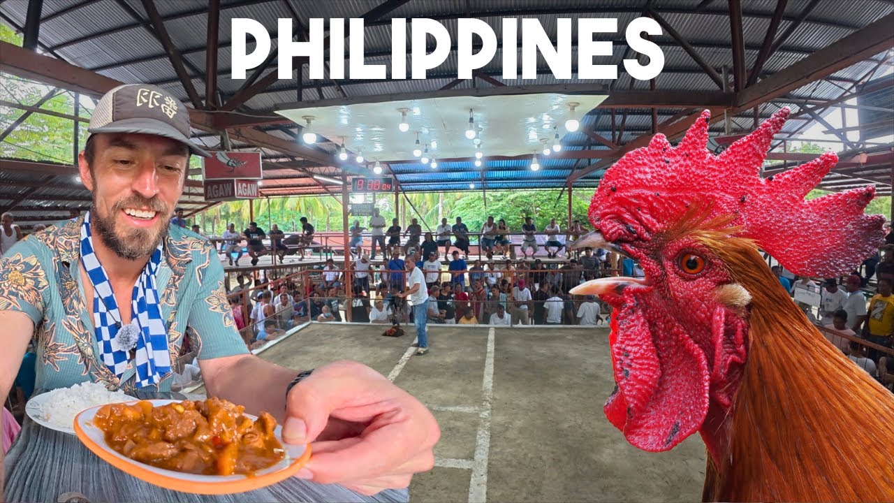 БЕЗУМИЕ! Петушиные бои на Филиппинах 🇵🇭 (велотур по Филиппинам)