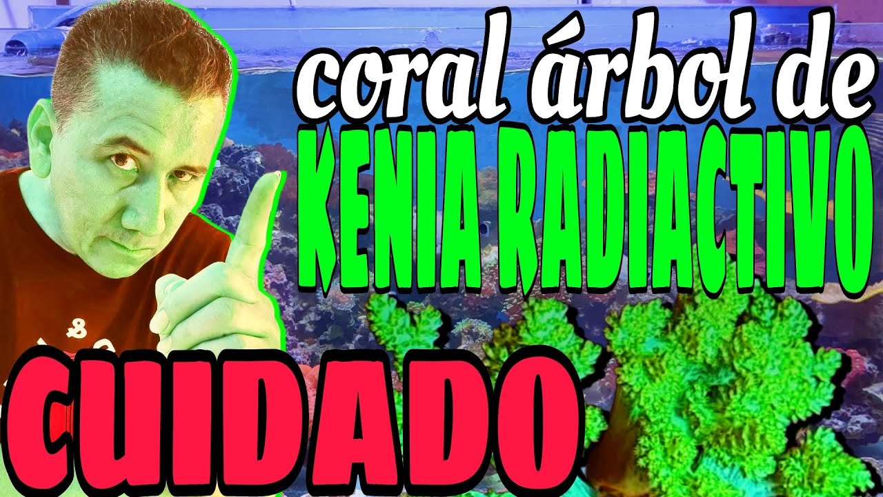 ARBOL DE KENIA / LO QUE NADIE TE DICE.