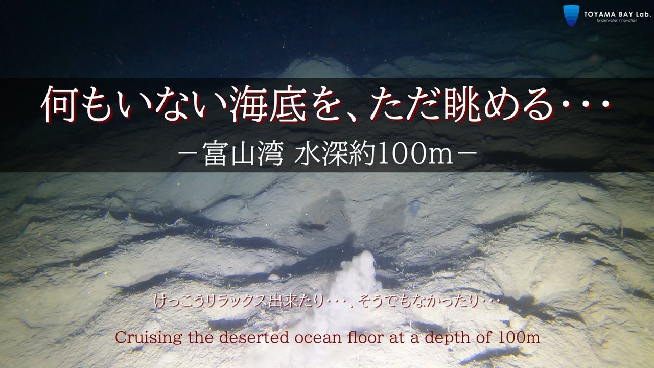 【何もいない】富山湾水深100m、何もいない海底をただ眺める・・・