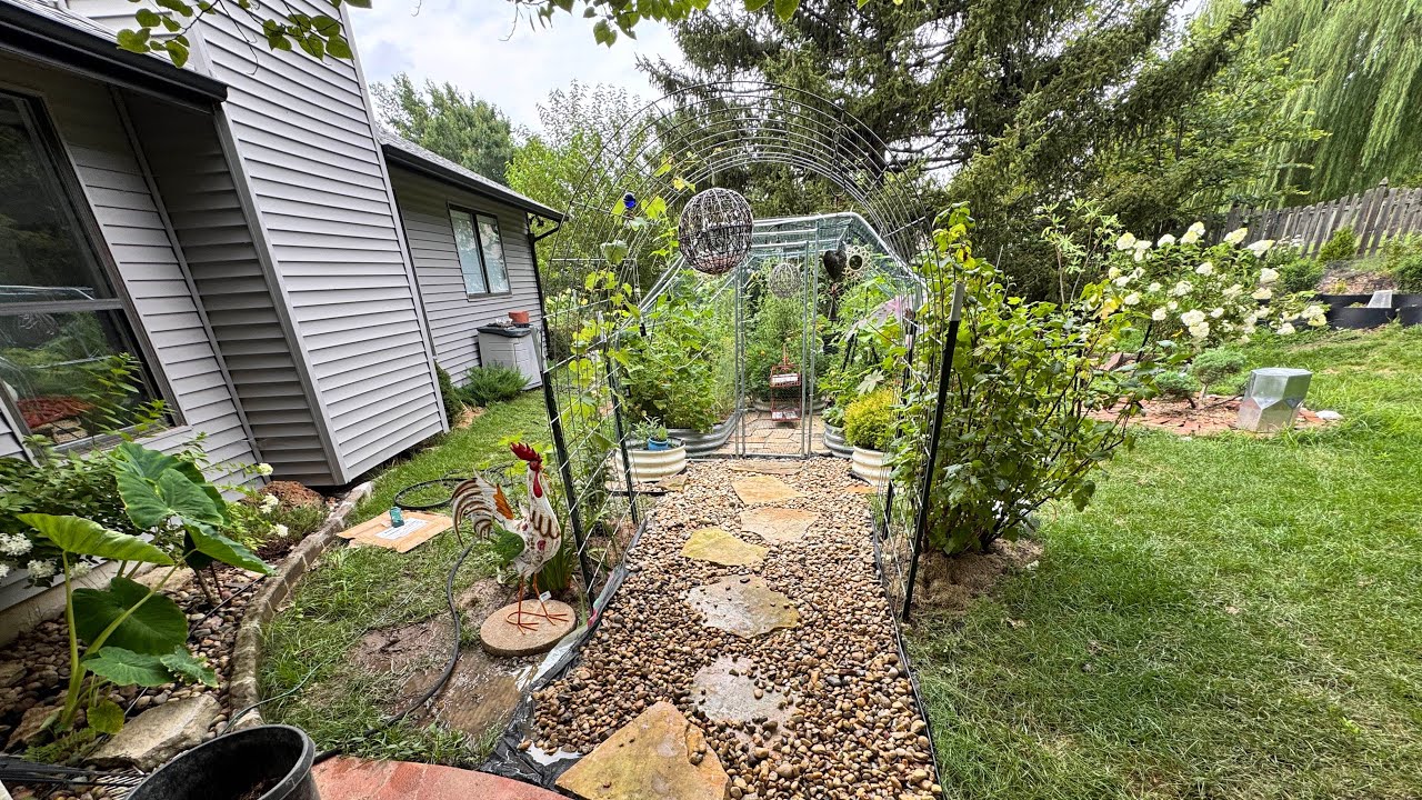 The arch pathway leading to my garden that I have build.  July 25, 2025