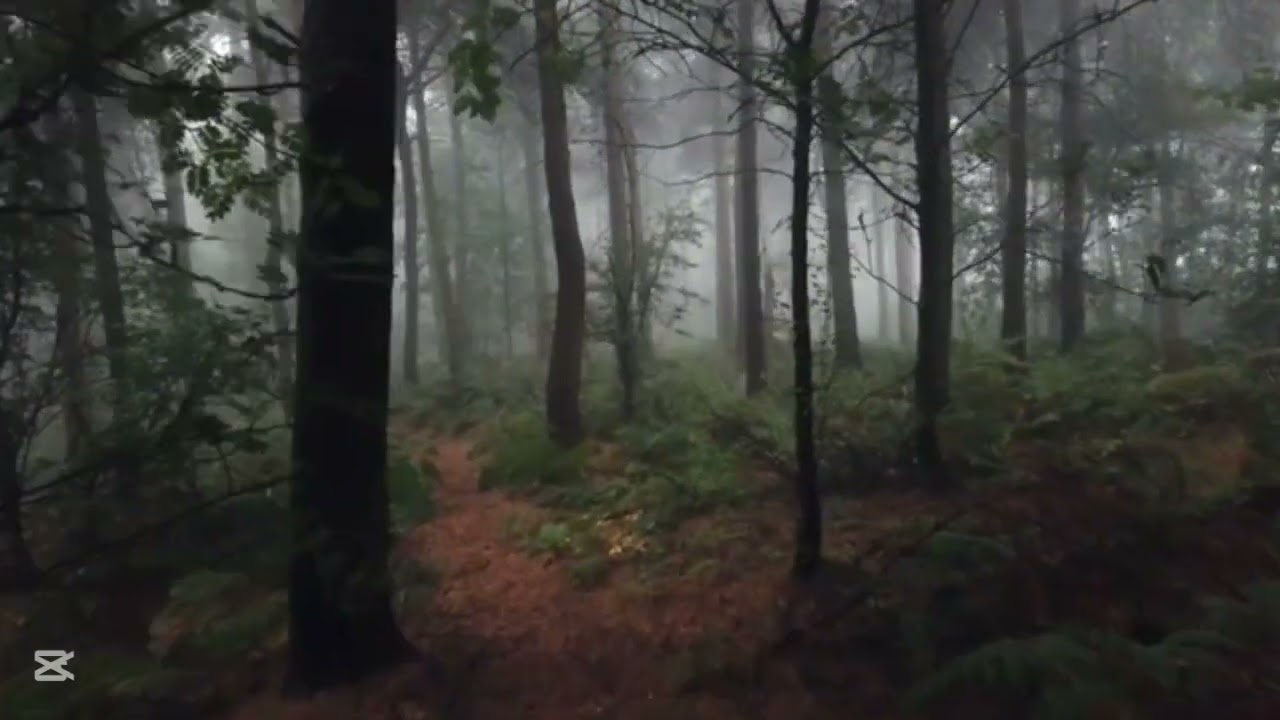 StizO.o - Olvad a csend (Original mix)