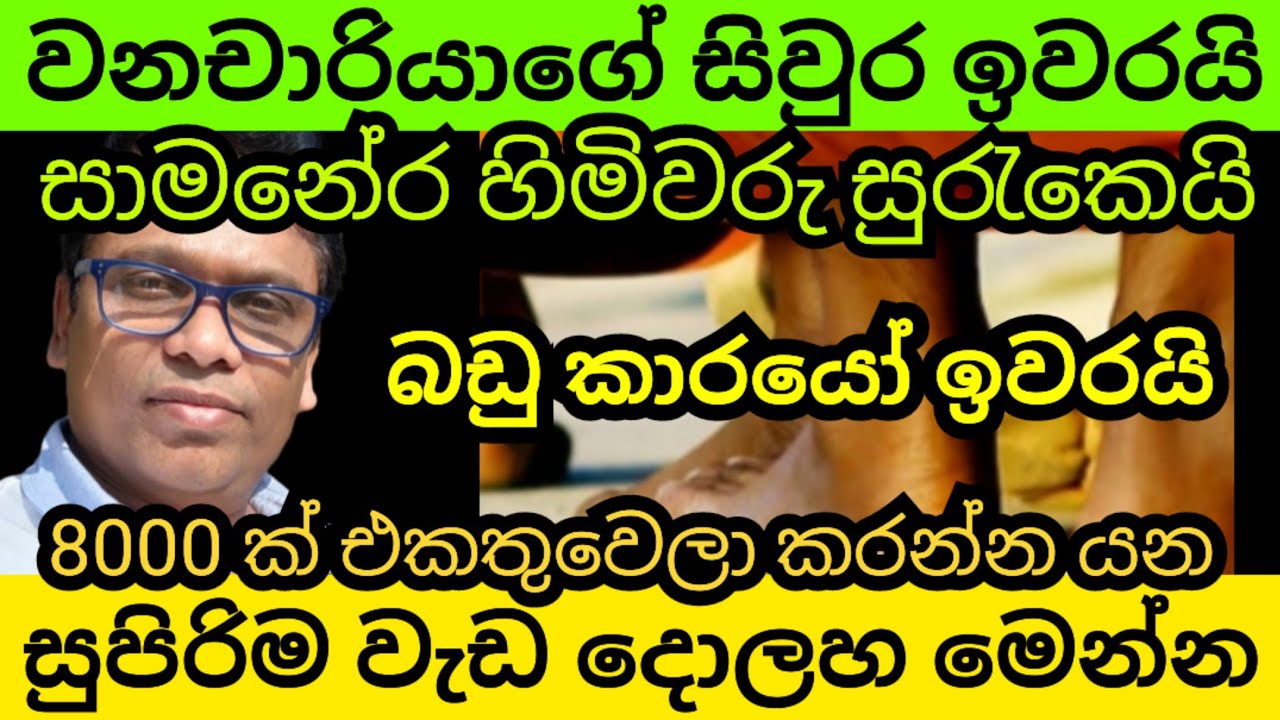 වනචාරීයාගේ සිවුර ඉවරයි... 8000 එක්වෙලා කරන්න යන සුපිරි වැඩ මෙන්න 