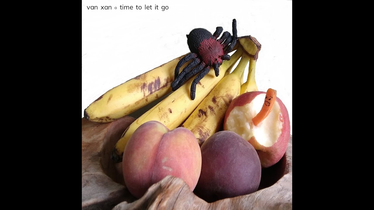 Van Xan - Time To Let It Go (Music Video)