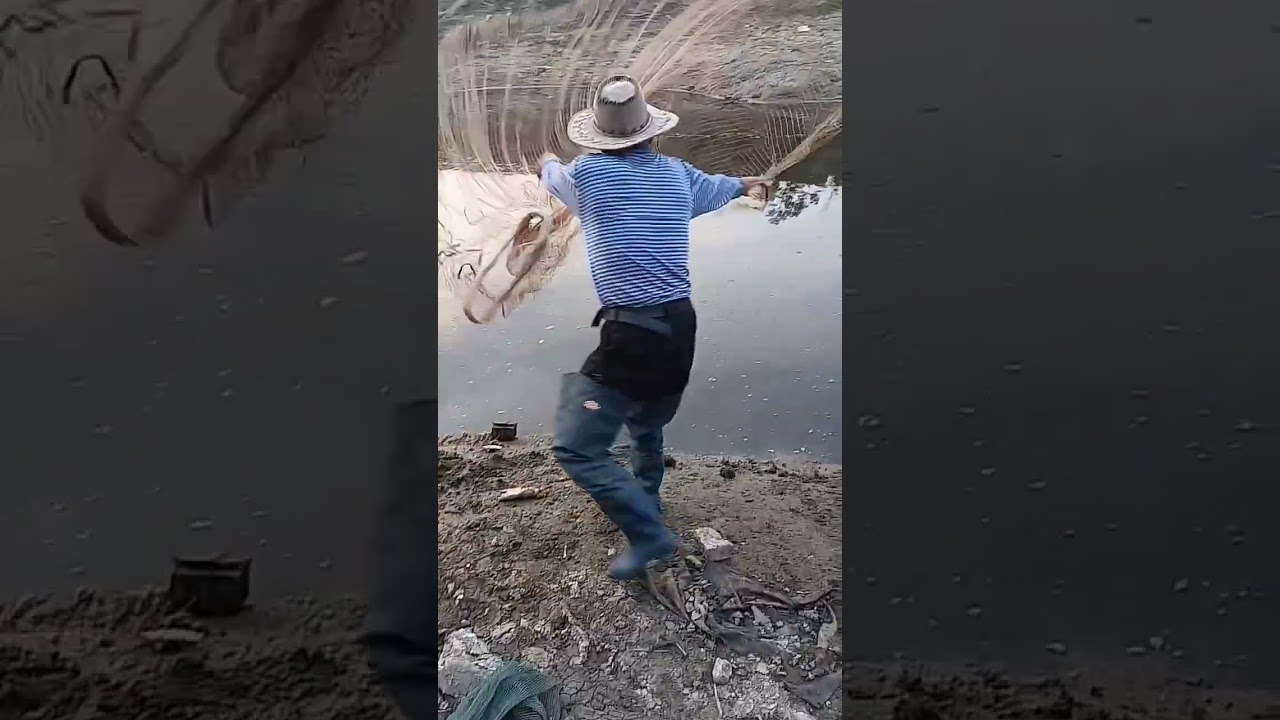 Fishing Net Video Traditional Net Fishing Village in River With Beautiful Natural 16