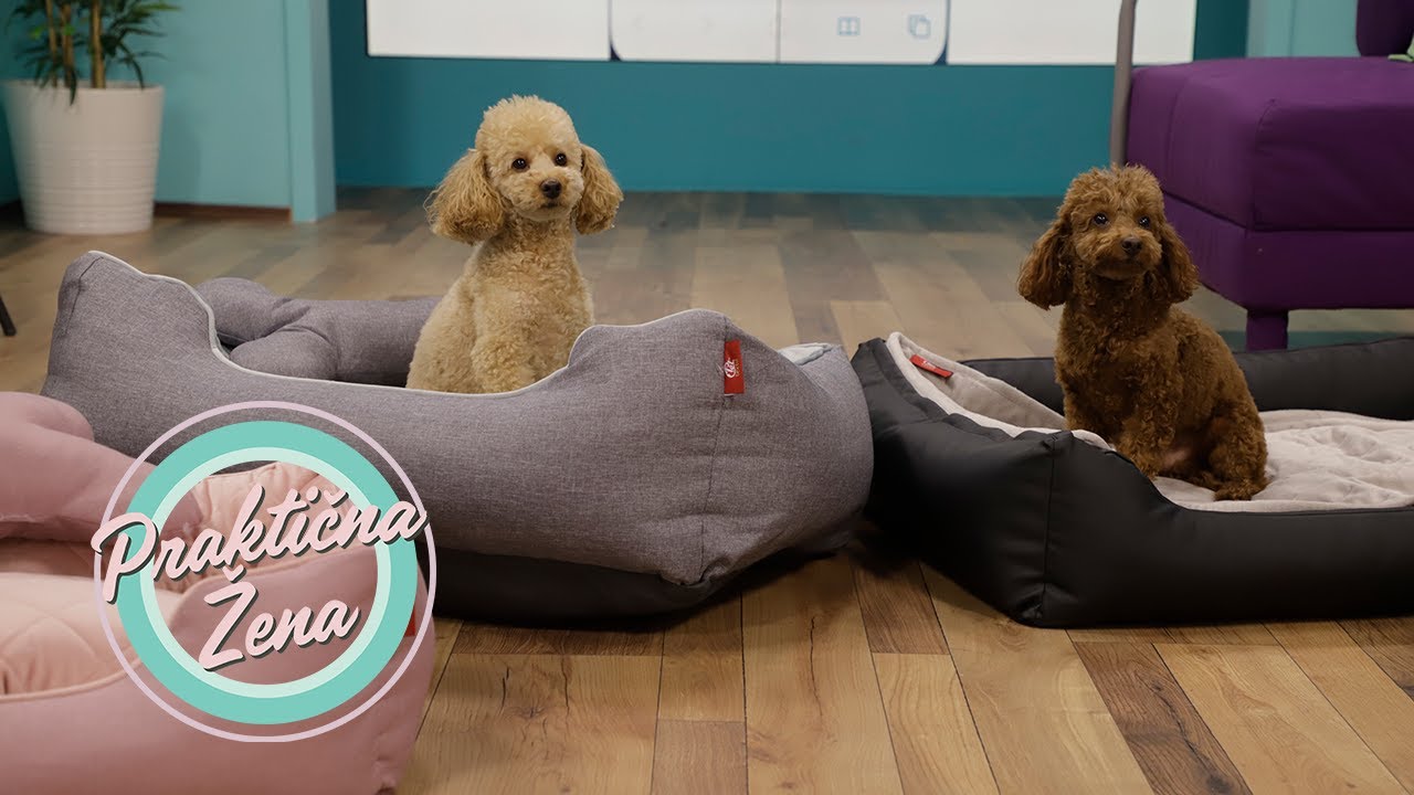 Praktična žena – Krevetići za pse