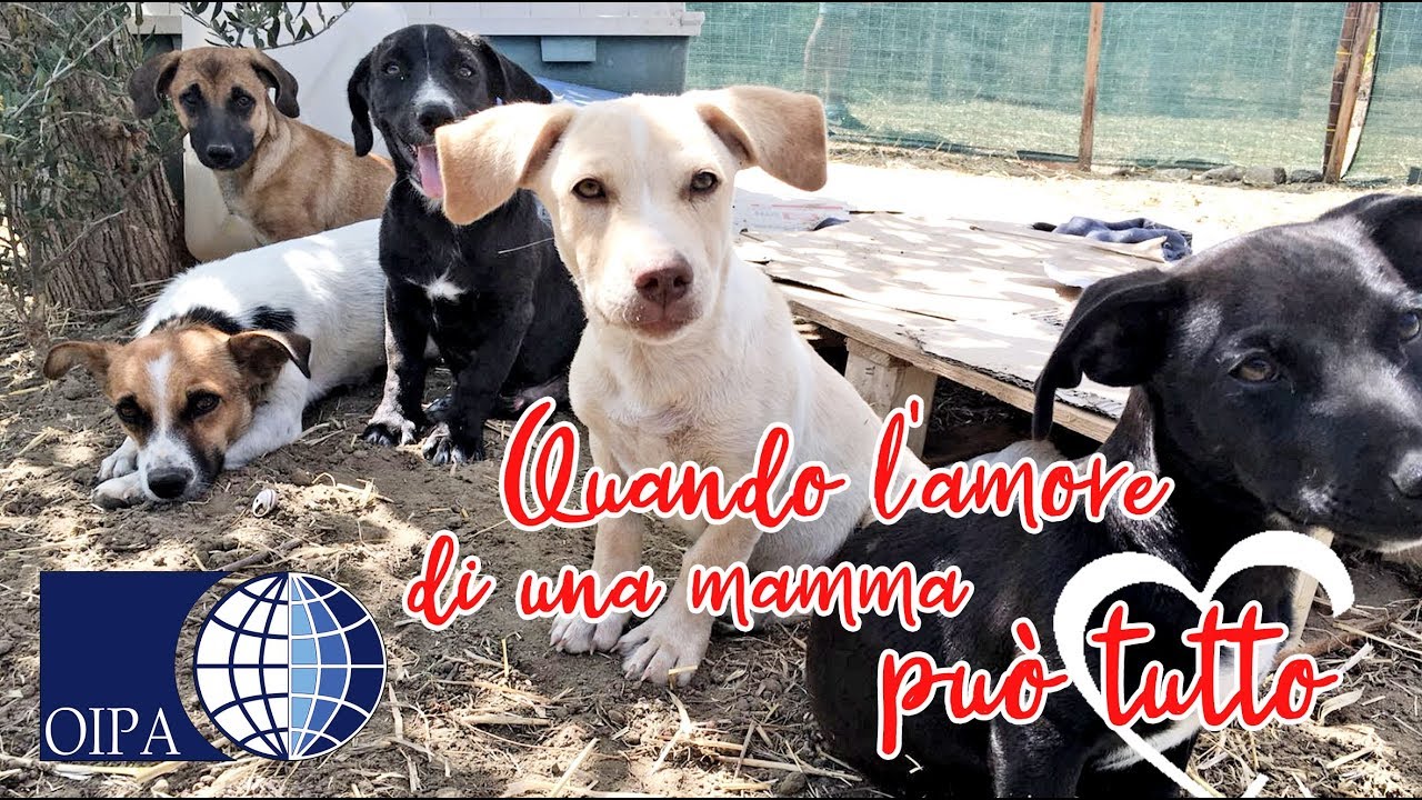 QUANDO L’AMORE DI UNA MAMMA PUÓ TUTTO