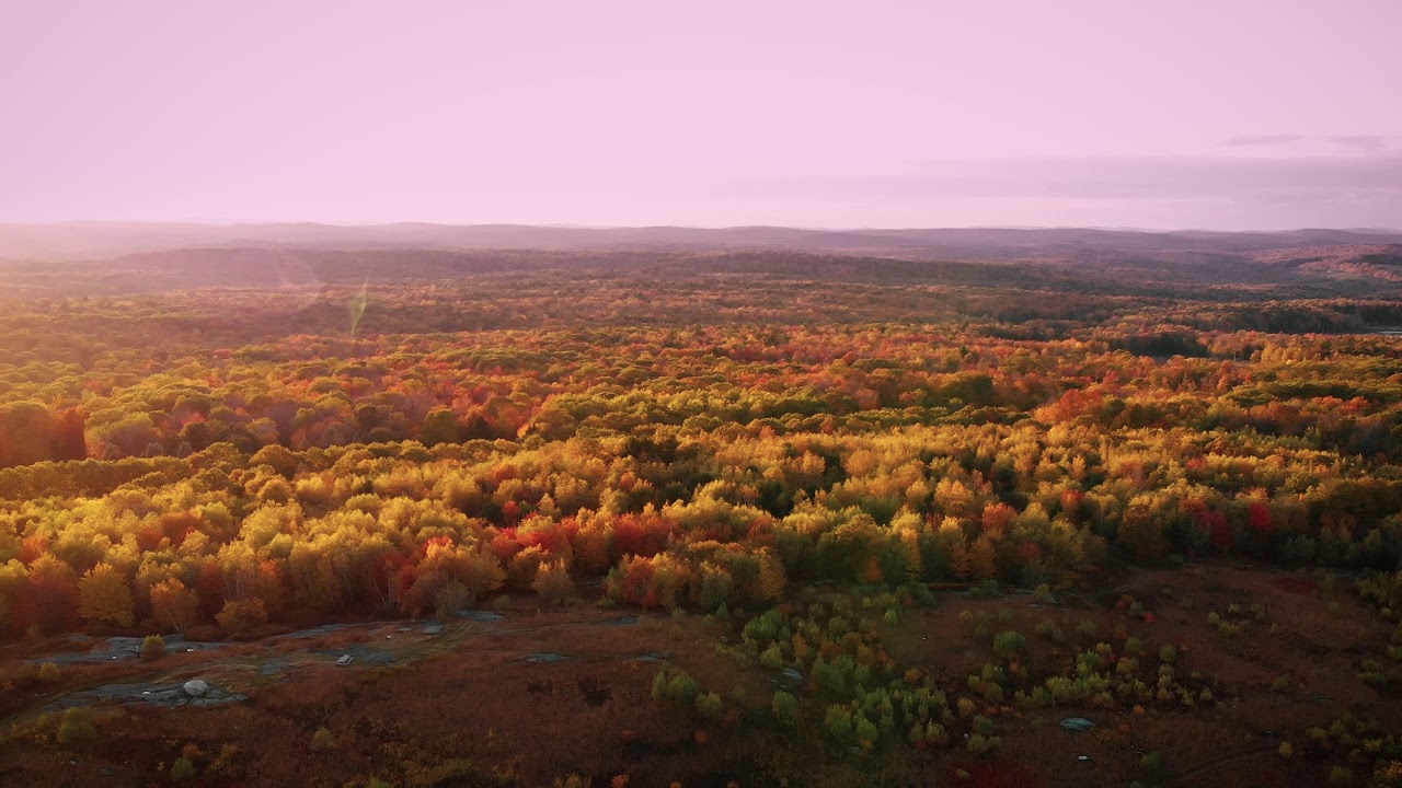 Blueberry Hill Hawkwatch - Fall 2019 - Mavic Air
