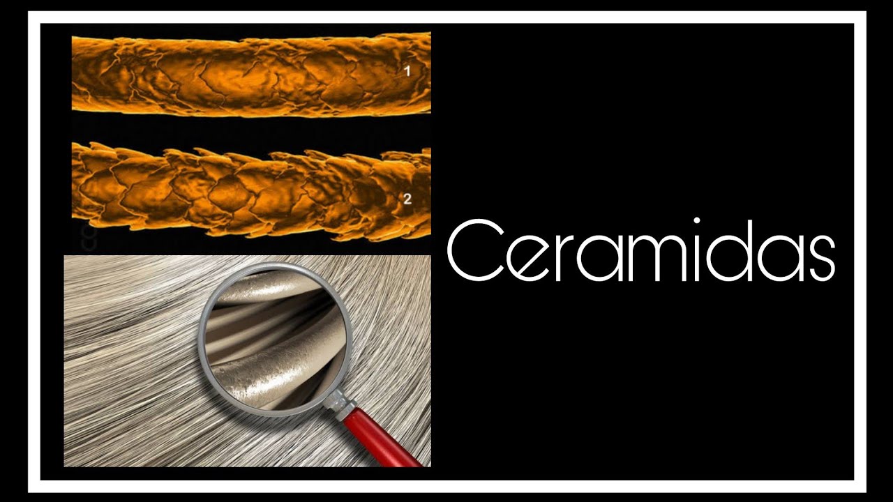 CERAMIDAS - Nutrição ou hidratação? Trata alta porosidade? 