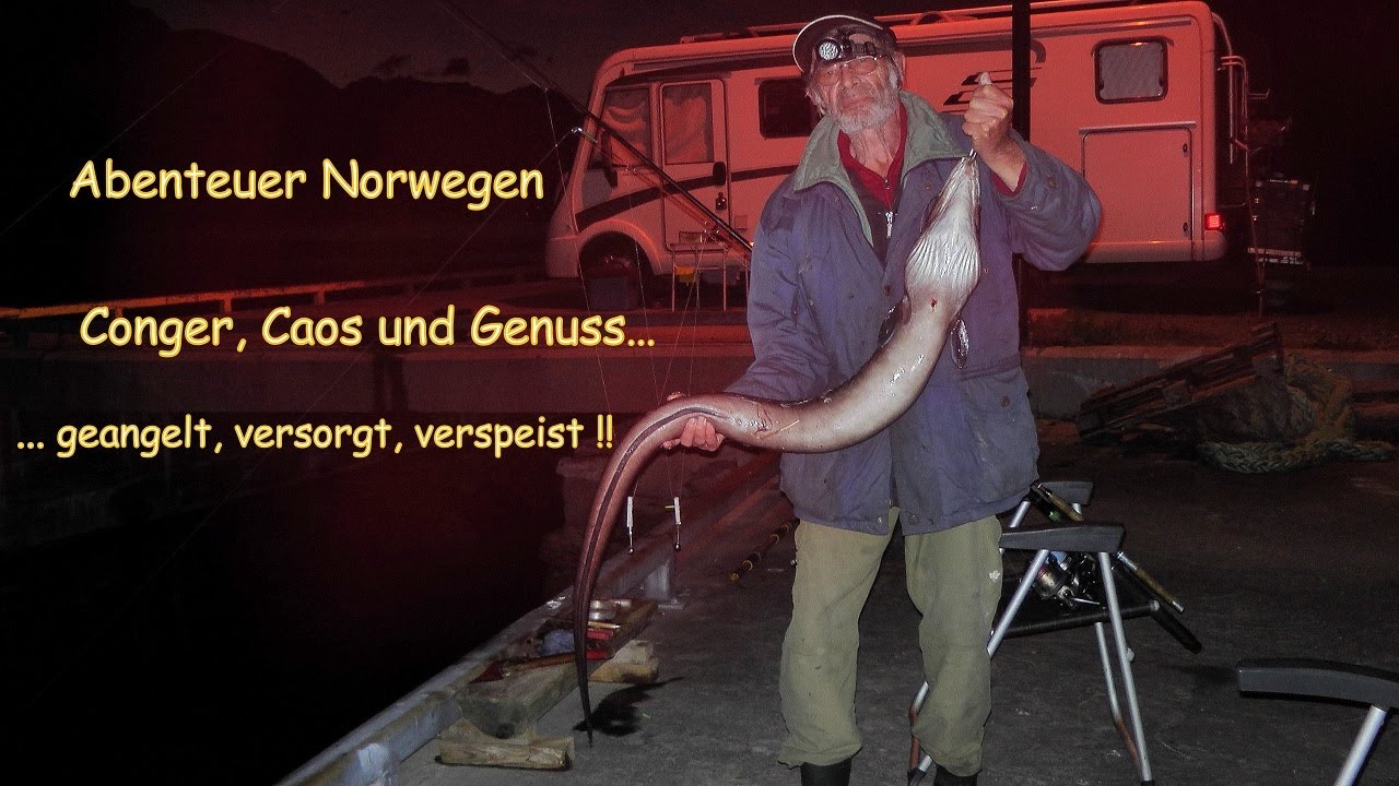 Abenteuer Norwegen : Conger, Caos und Genuss