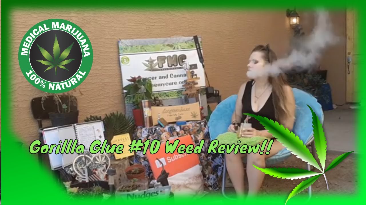 Gorilla Glue #10 Weed Review From @Dripoils And @Harvest