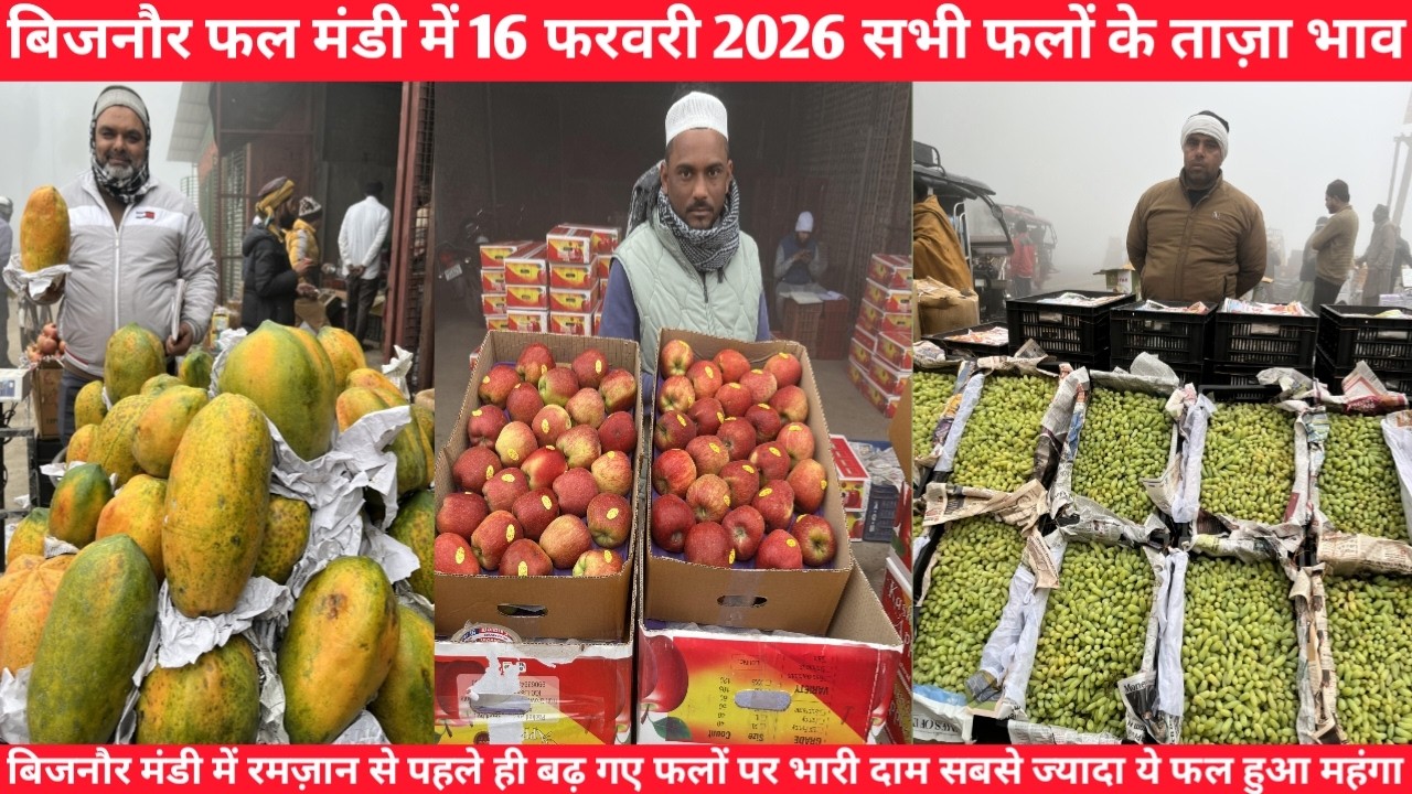 बिजनौर फल मंडी में 16 फरबरी 2026 को सभी फलों के ताज़ा भाव  || रमज़ान से पहले बड़े फलों के दाम
