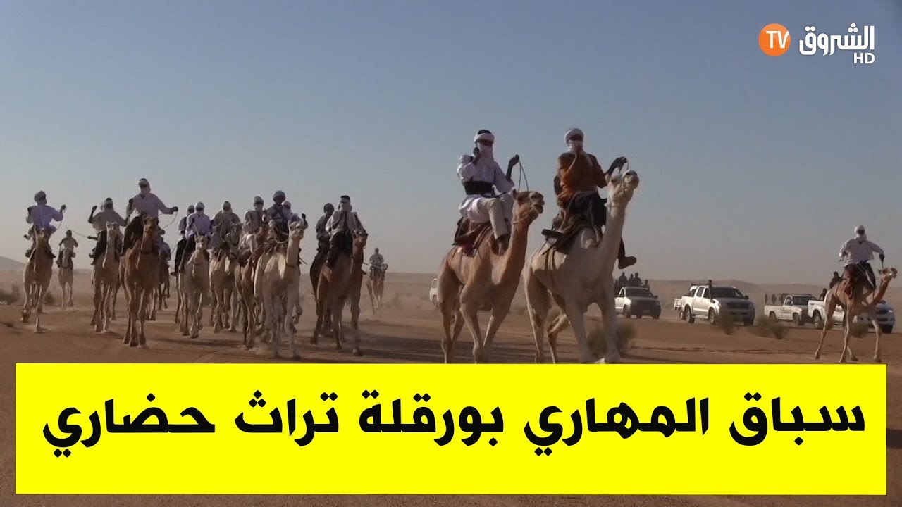 سباق المهاري..تراث حضاري و رياضة شعبية بحاجة للإهتمام بورقلة