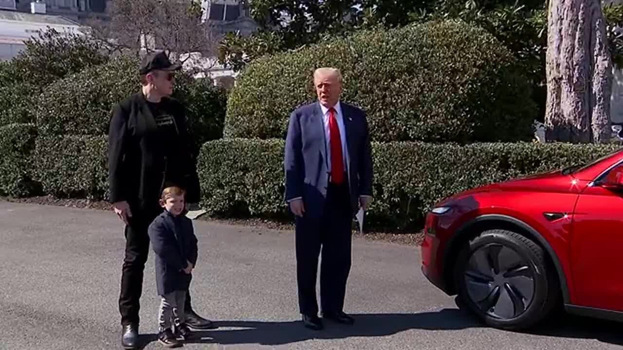 Trump selects a new Tesla on White House driveway to show support for Elon Musk