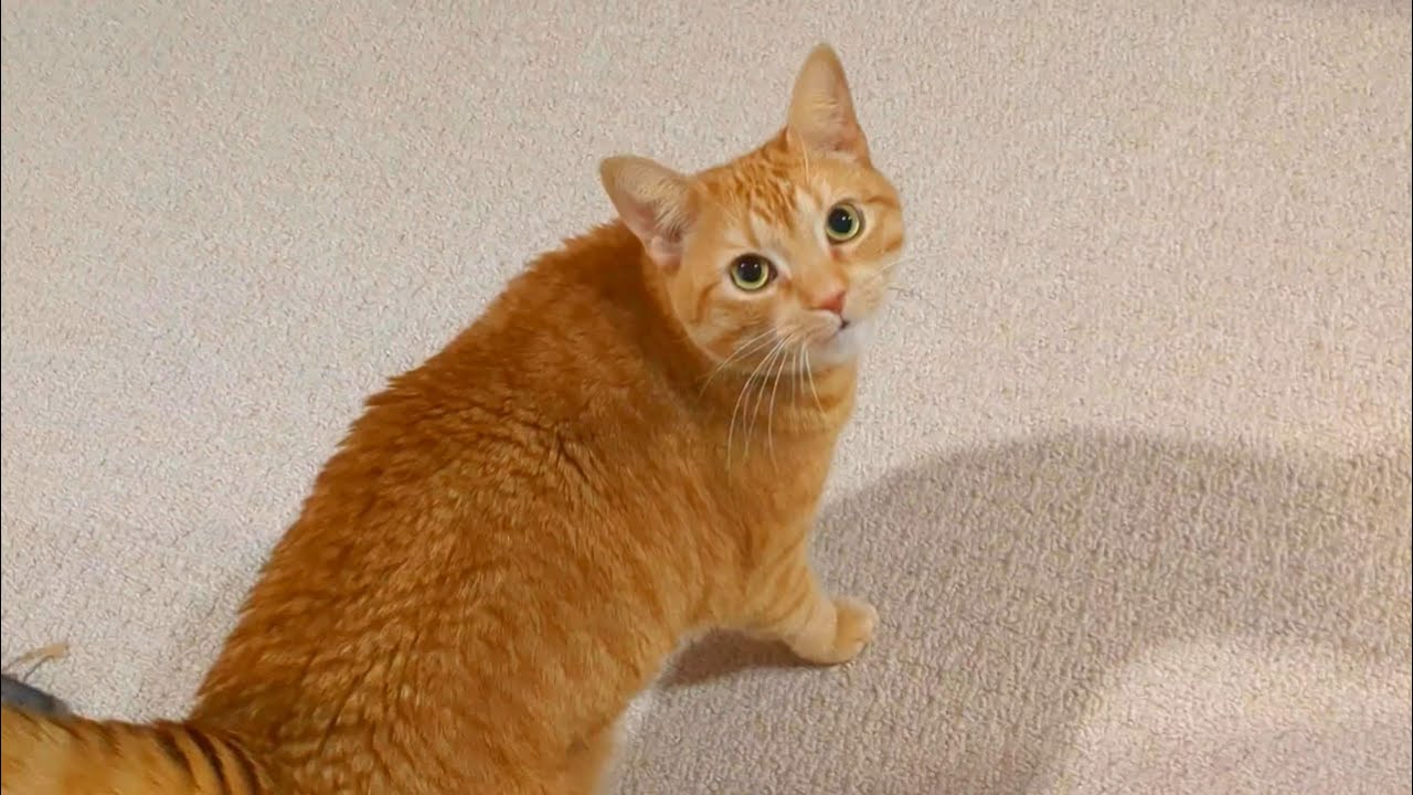 She couldn't wait for this special gift, so she made the most adorable sounds
