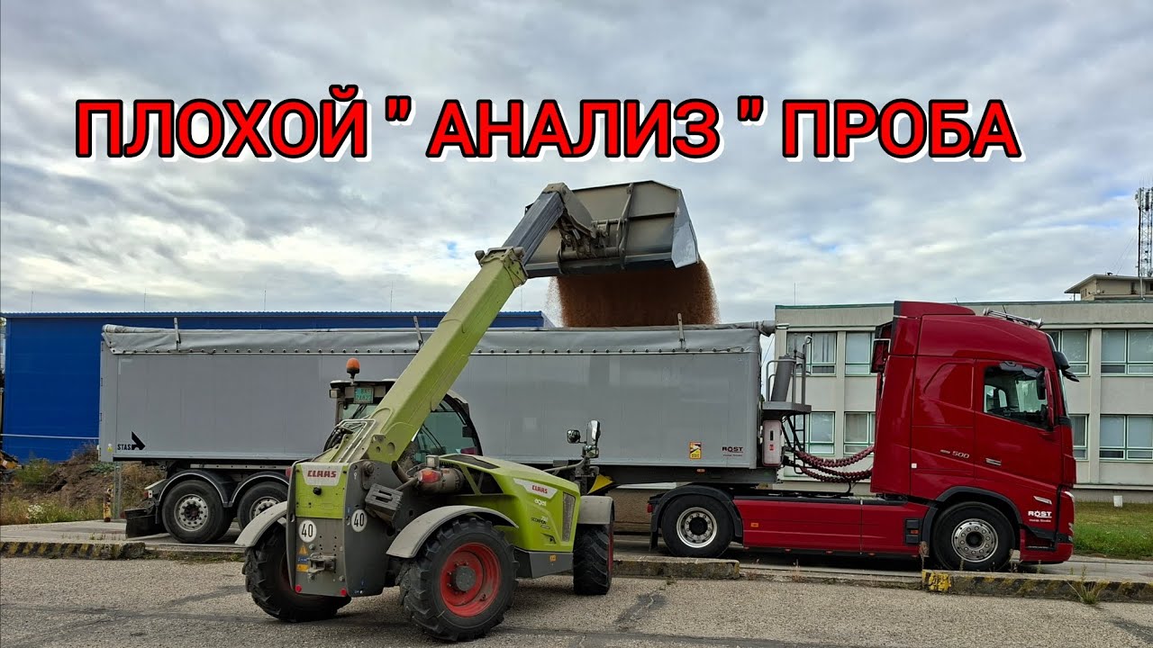 НЕ ВЫГРУЖАЮТ,  НАСЕКОМЫЕ В ПШЕНИЦЕ